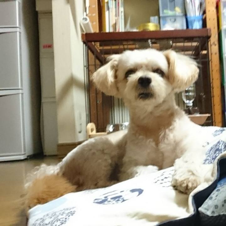 78f81bf3 3aba 4e17 98cb 8e3050a9d461 1599374923036