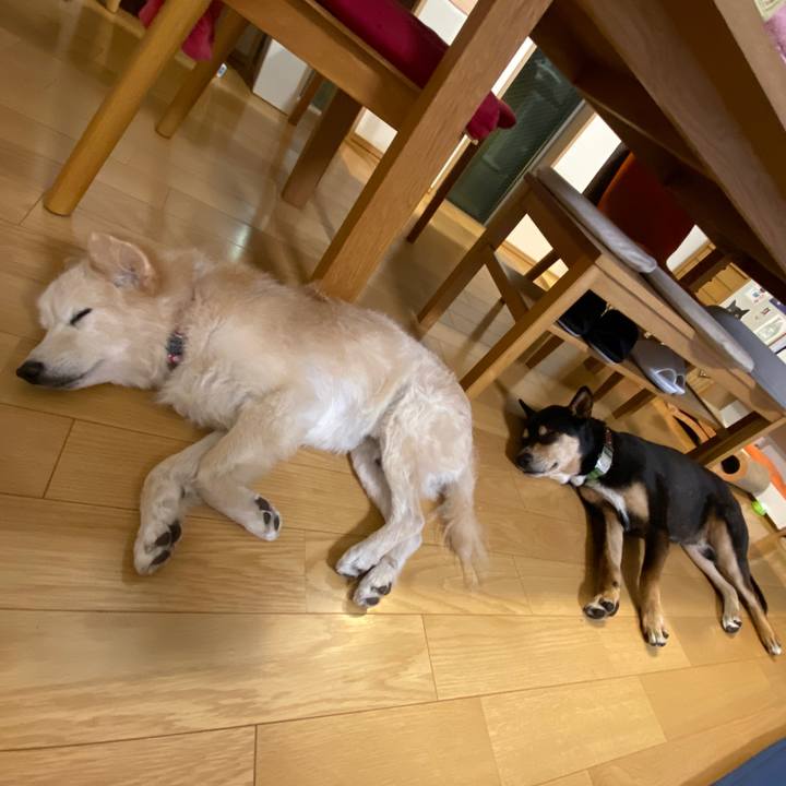 78f839db a5ac 4653 8697 ae260f87fb14 1651669096189