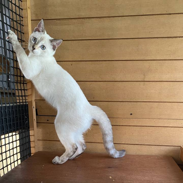 78f843bf c441 42f6 92bf 9d39d74a1d71 1632361808816