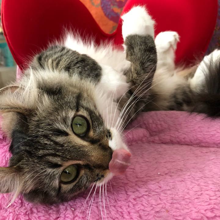 78f85888 be71 4417 a075 a9a3f87471eb 1524804769585