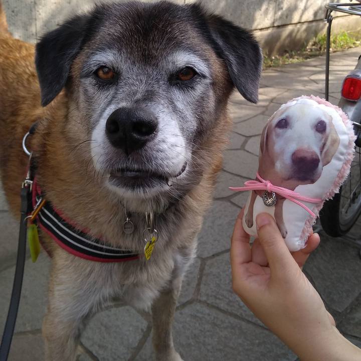 78f86783 9651 41ee 937b 7b28b5fa7bb5 1570063944167