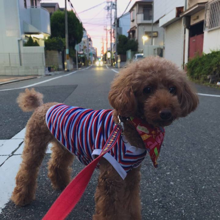 78f8ab77 d36e 4867 a510 e5acf27843bb 1565429533186