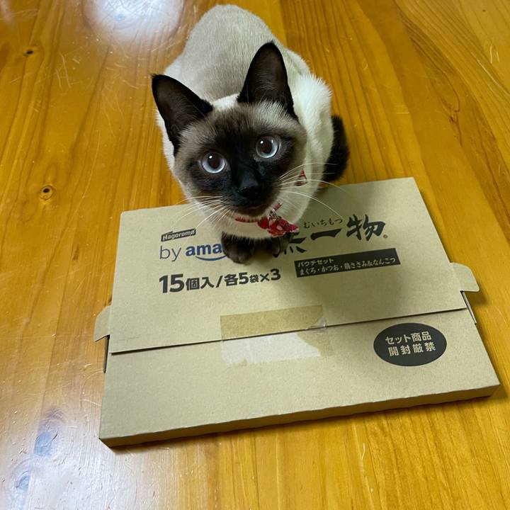 78f8c34d 6404 46da b7e5 35e26e74be89 1710790024175