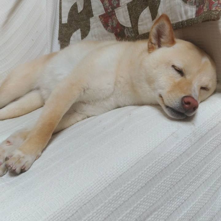 78f9095a 4a85 4877 ae7b 1125d86ddd24 1522676826961