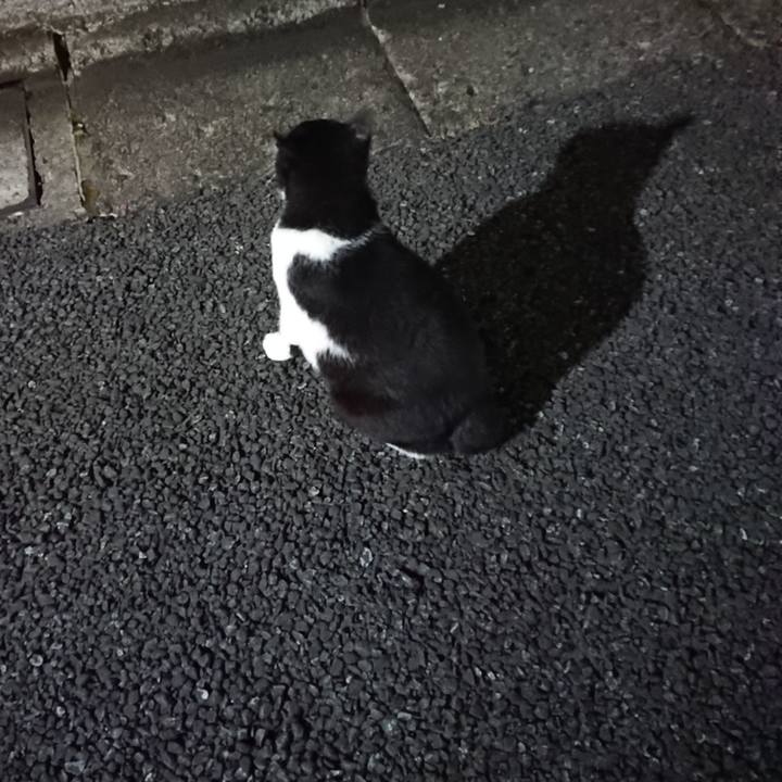 78f911e0 2303 4215 9761 c43ea1e06024 1596804170858