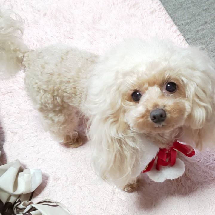 78f92168 03de 4cf3 bb2b d9e0e53bbec6 1577364865852