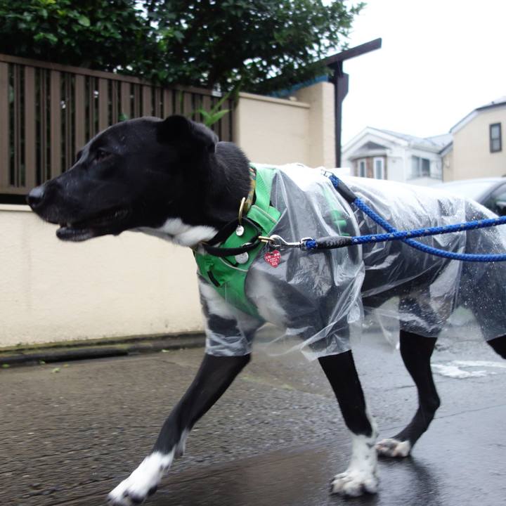 78f9412a 8c2c 4b48 997c 81f4dec38a44 1594031013107