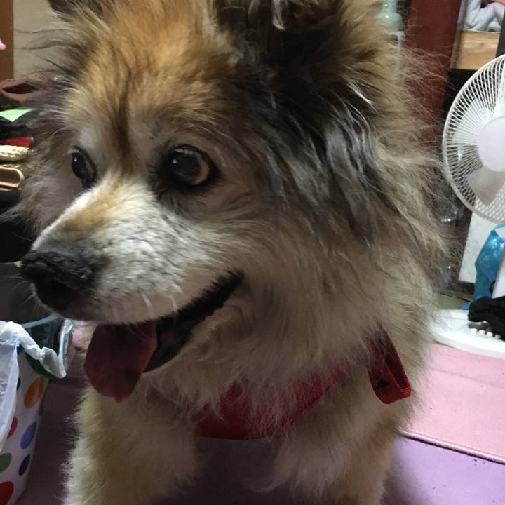 78f98d63 abf4 41e6 bea4 0dd0df83e604 1596816830944