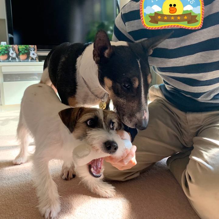 78f99c42 202b 412b 80ae 3e5f1fbc9ed6 1572845497580