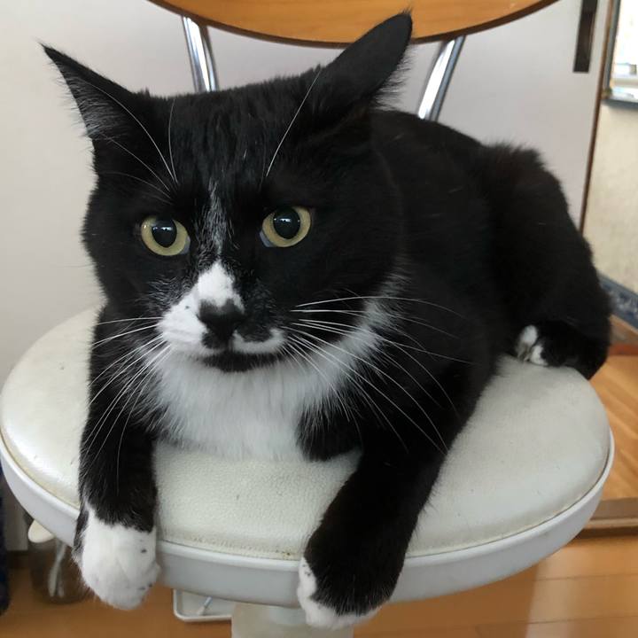 78f9b6a0 04fe 477a 97b9 fb2435d6fbbf 1657251725765