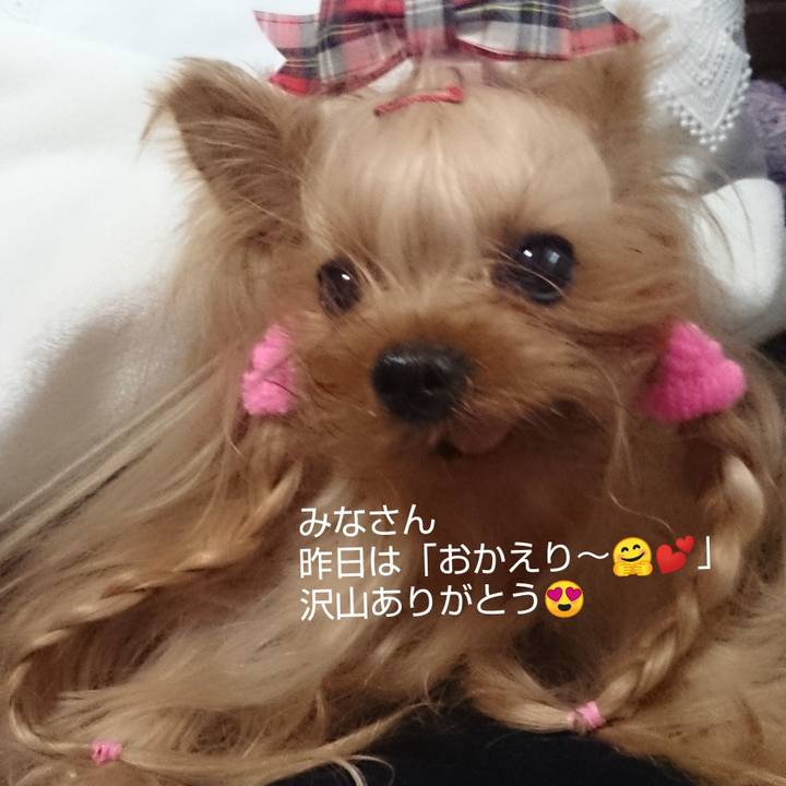 78fa10e7 0efa 455a aeae 0305f5af49ef 1565681133821