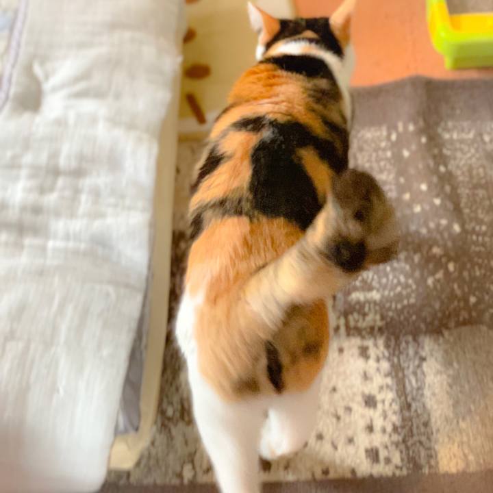 78fac022 d0bc 4aee a9de 41e15df4fccd 1561337531152