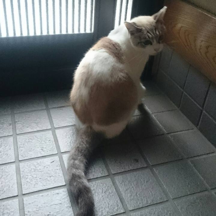 78fac650 1f58 4efc a6fe 936b442c0115 1508114268576