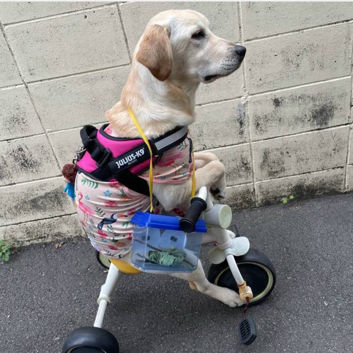 78fb0c4b 4d13 432c 90ff f260ba134e3a 1654215784097