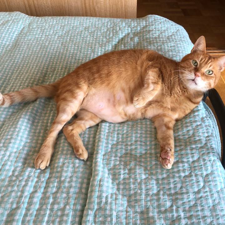 78fb24c3 5f6d 49d3 9eb5 5c70e5e44ac4 1728800931287