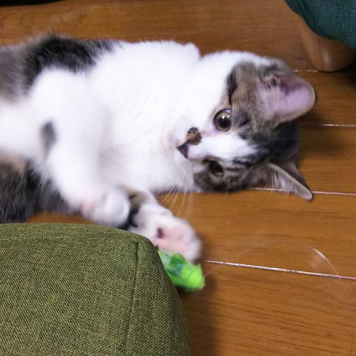 78fb4089 91a7 468c a0ef 9378dd66d754 1614689826866