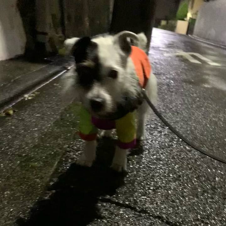 78fb5894 cd31 408d 8e96 14f23ecd46a7 1713443312342