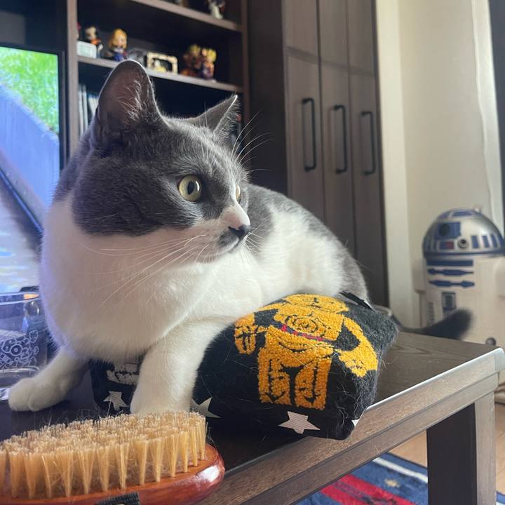 78fbb012 d7c9 43b8 9aa2 daadce93b641 1690085705425