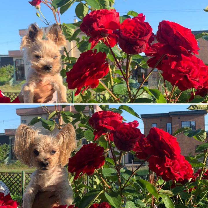 78fbb395 ff25 498f 9244 9c1af8b4b8cb 1688465529258