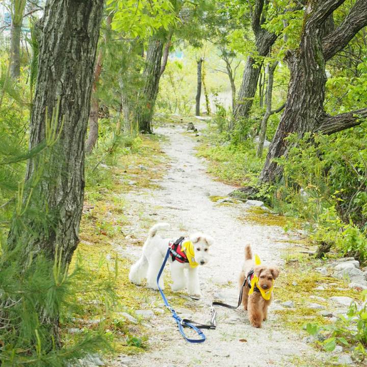 78fbd658 cbee 44c7 98db 6bbbac8c629c 1524634623480