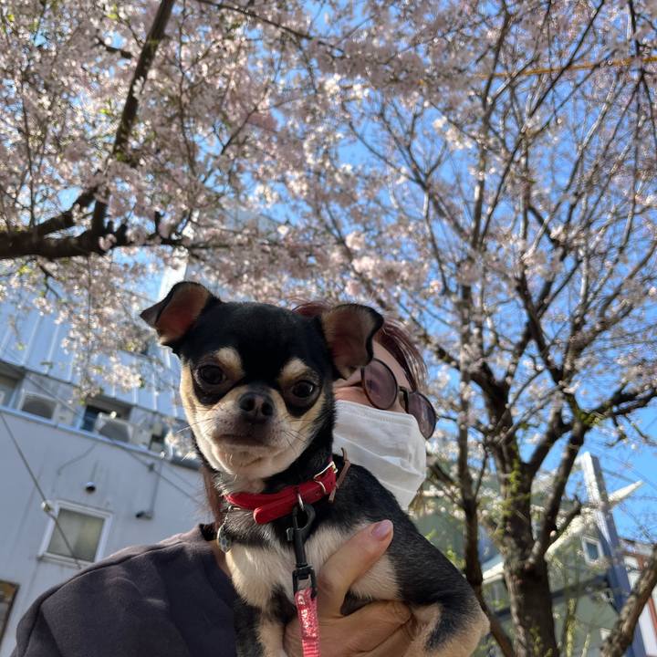 78fc05fc 1eed 4558 849f a768cb9b5eba 1744293304056