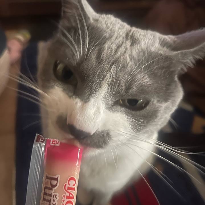 78fc176e 6251 4efc b1bf 9f8f4aa72424 1672904274548