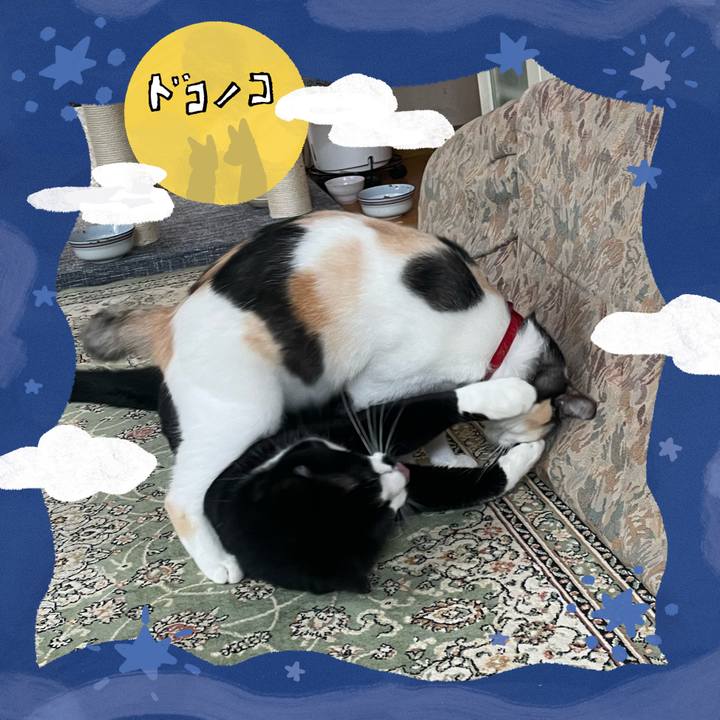 78fc83b5 f931 4446 a497 337cbad5f4a0 1726922119560