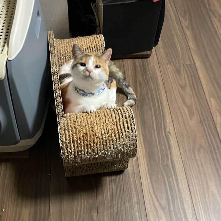 78fc8a60 a019 4f65 991a 69c36b8d6944 1689085261411