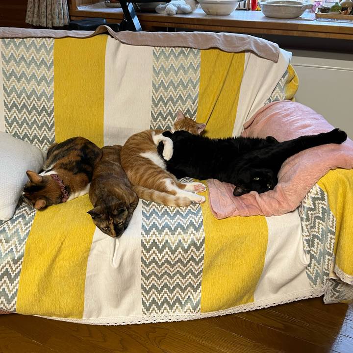 78fc9110 d446 4ca6 8e87 cd33295023b6 1677311038850