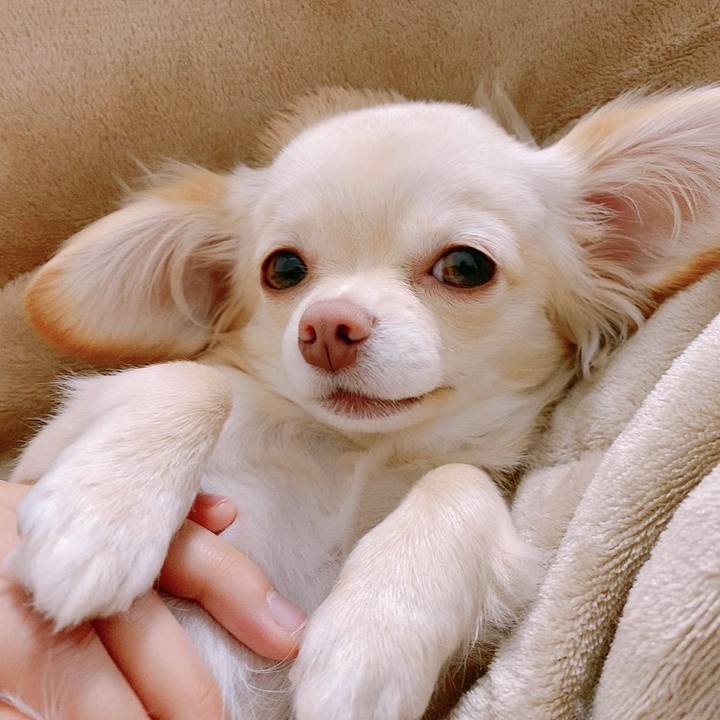 78fc958d 34bf 474e a4f7 1494a5b9e153 1611899116523