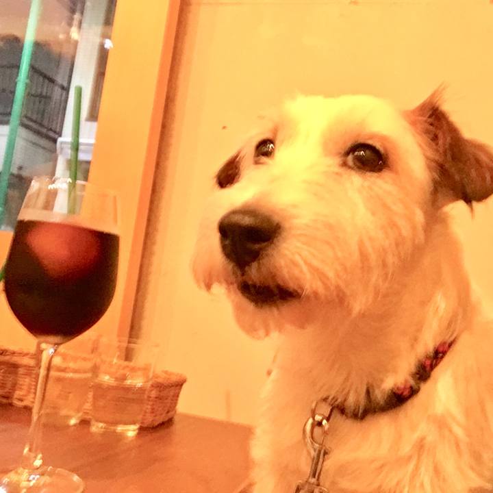 78fcc8ef 18b0 42cf 8e3a 3e1d39248bdb 1561276242348