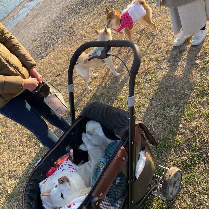 78fccf16 fbb8 4b7e 94e8 13ac4488c626 1677837703960