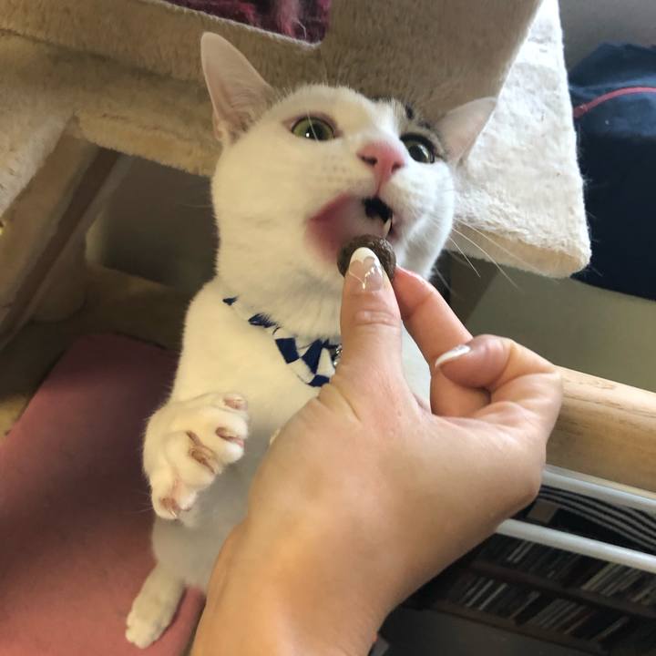 78fcd394 b365 4ef2 9e92 8e55190044ad 1543640747722