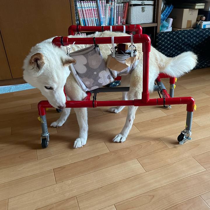 78fcdadf 46de 4edc a154 88d4513b01b5 1661999343993