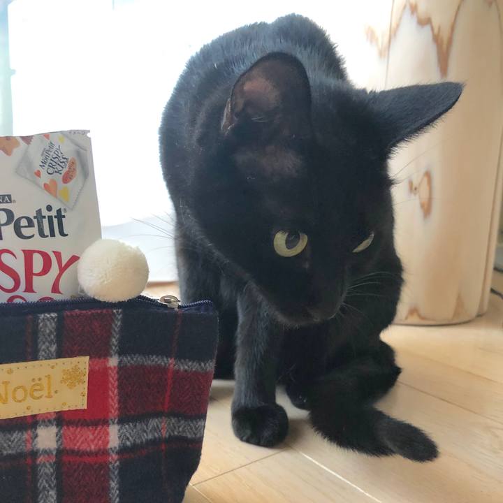 78fce2db 944a 4260 9706 e62d02e876cd 1545702236019