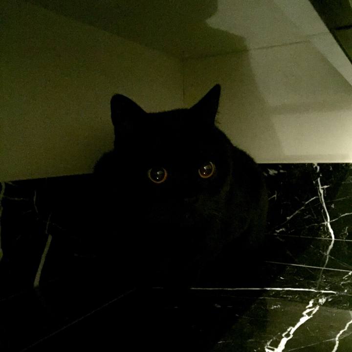 78fce60c 893b 4d85 8138 e504773f2b58 1586783979328