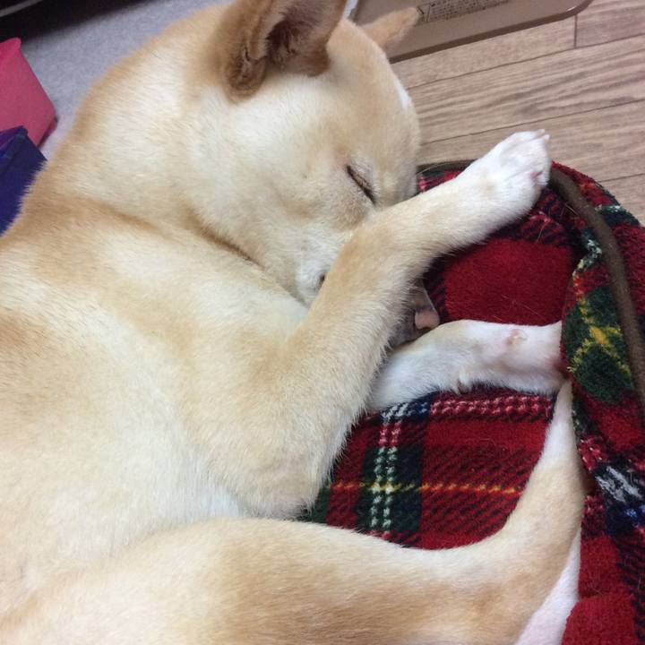 78fd1460 c265 46bf a559 b180c16d9ab0 1508505730696