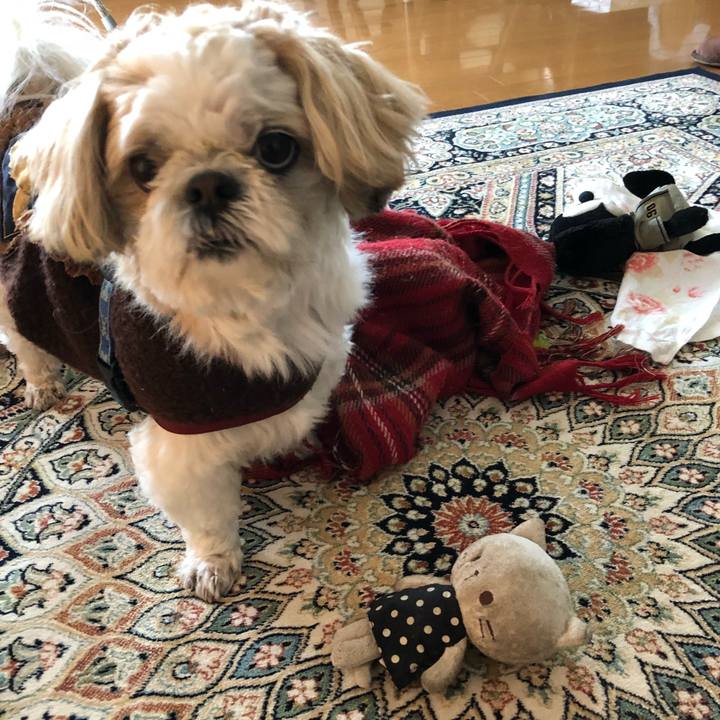 78fd2d1d 6102 4b33 99ba 7af7fa889d69 1519162771820