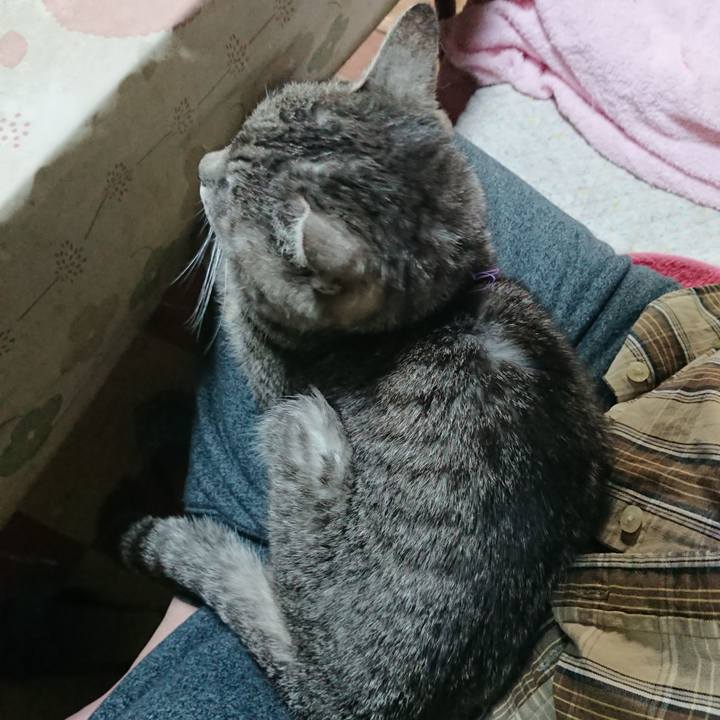 78fd4677 5692 4a3a 8430 69dbc4357033 1578479670072