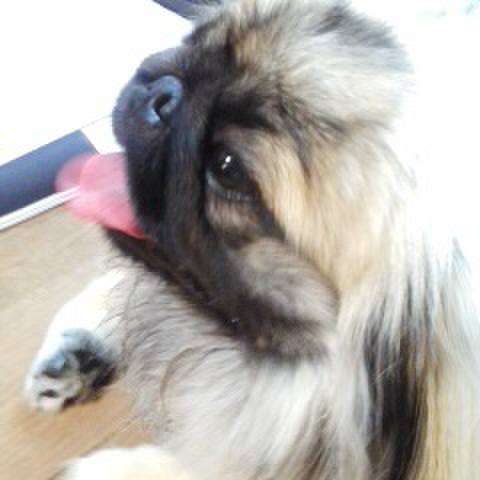 78fd6528 e1f7 484c 8648 2956e7602ae4 1519116266309