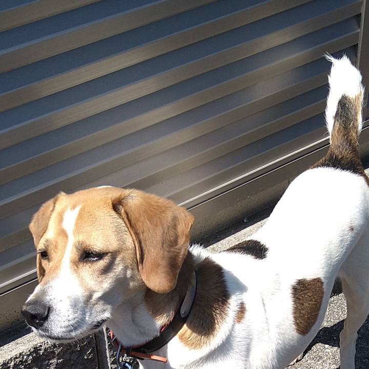 78fd7117 25fe 43f4 ad76 df9a83dd5777 1622352867377