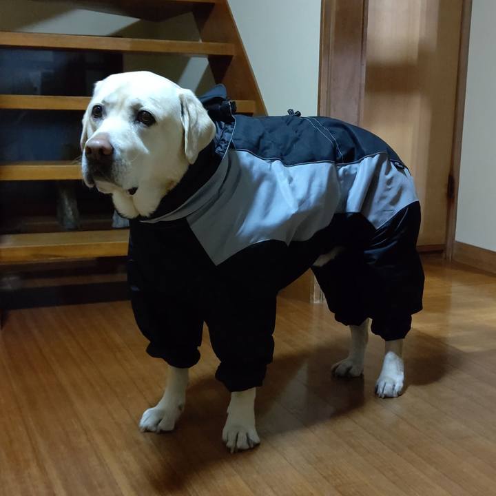 78fd7e79 f56a 42b6 8f90 87b8ca644f81 1643774240715