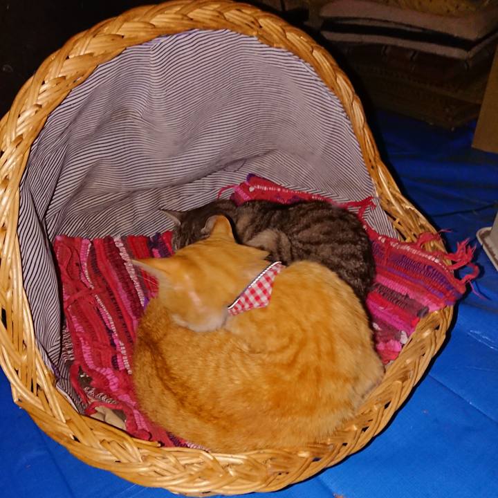 78fda7dd 9913 4b51 89a2 28e73311e6c1 1558111893642