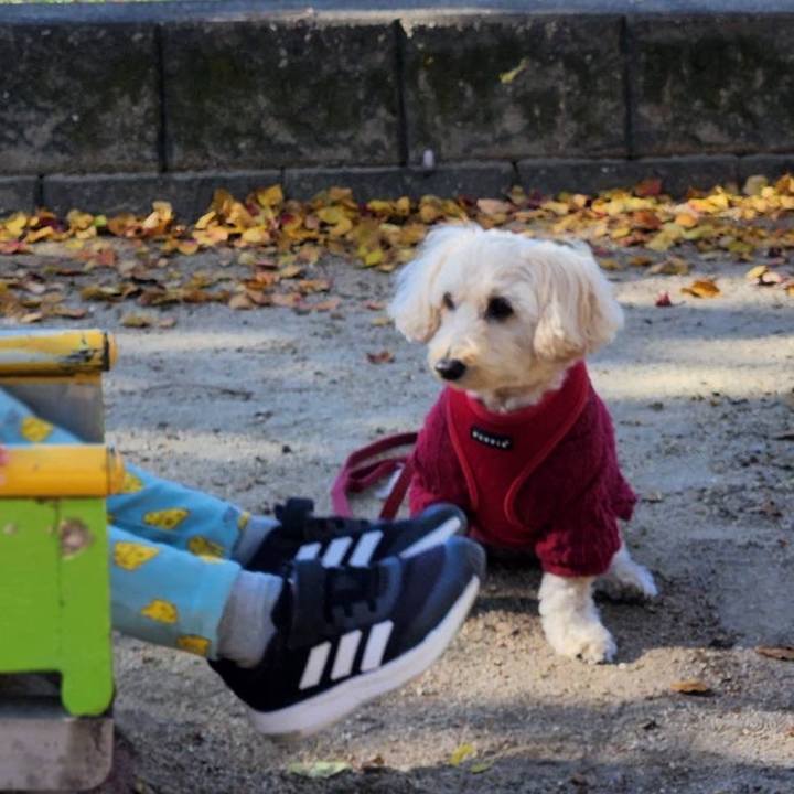 78fdcbf5 cd21 49eb b029 0b7a19e0da26 1764991487586