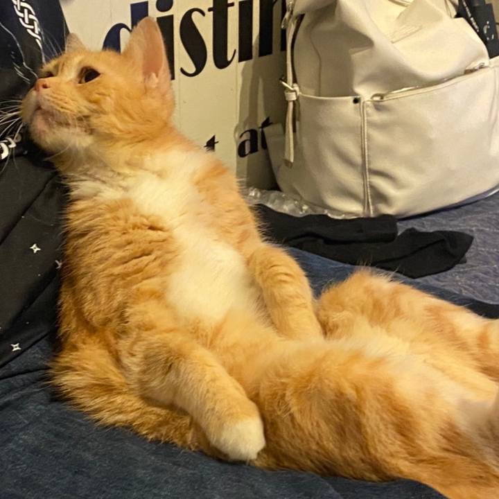 78fde82f 906b 441e 9ef5 d9850e5b7127 1602042943524