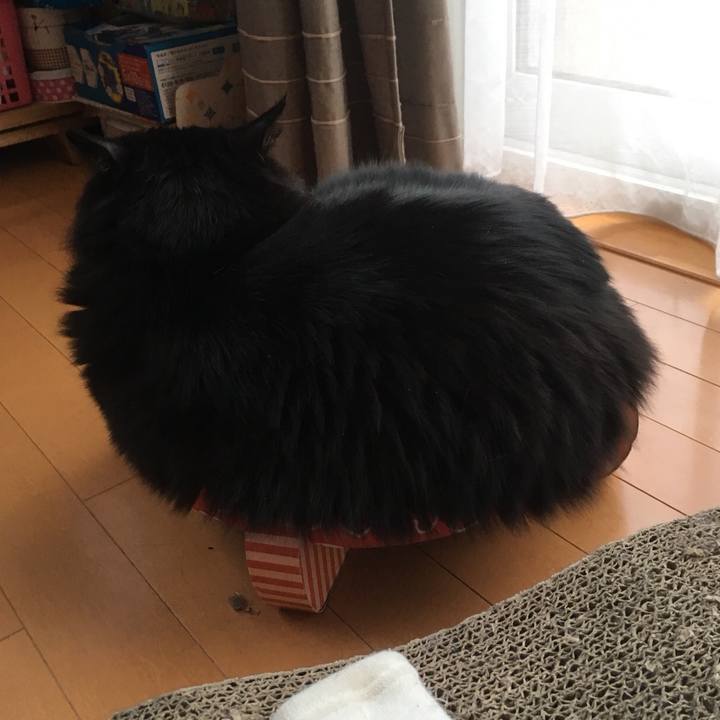 78fe4072 d845 4411 b499 8ac5933e5253 1557193926466