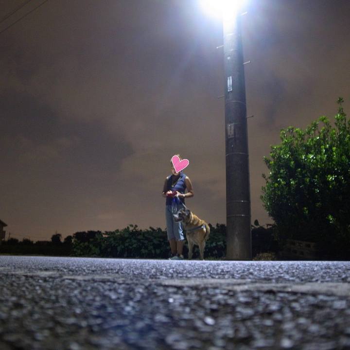 78fe43fd 8af5 4a82 8a0a a705caced5cb 1611361419311