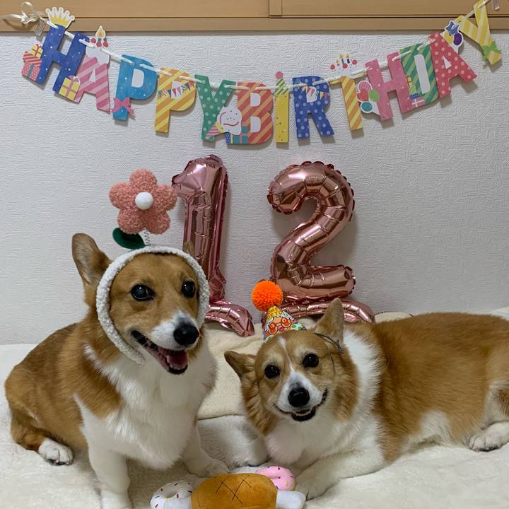 78fe7208 3e0b 4e00 825e 3a150013200f 1716028787546