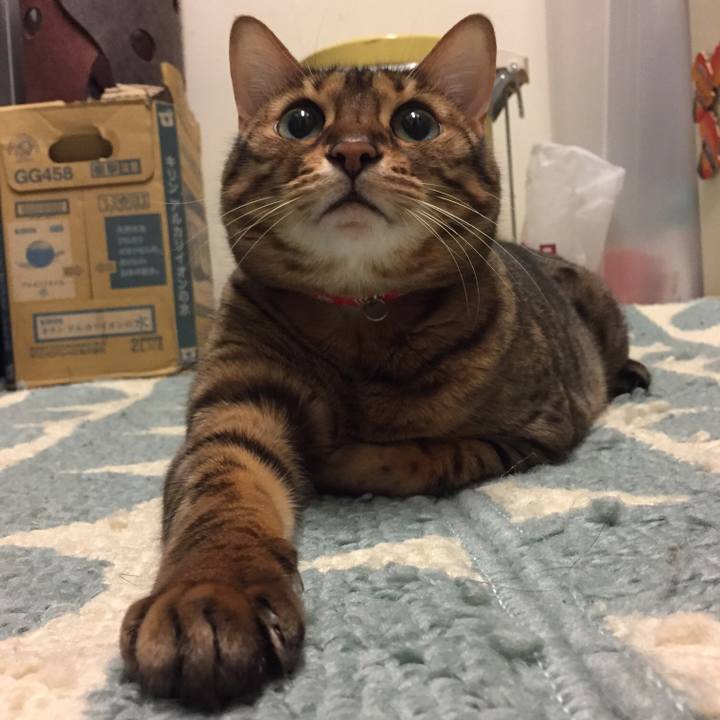 78fe8da5 2694 4093 85e2 4189d5601ac8 1521585554981