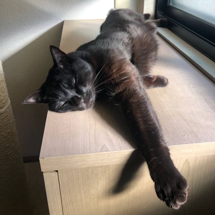 78fea64d 1297 43bc 919c 298f45aa4639 1615941468435